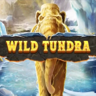 Wild Tundra logo
