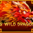 88 Wild Dragon logo