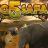 Big 5 Safari logo