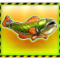 Fish slika