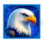 Eagle slika