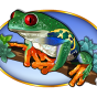 Frog slika