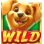 Wild slika