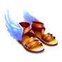 Shoe slika