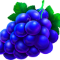 Grape slika
