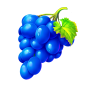 Grapes slika