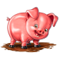 Pig slika