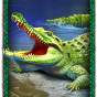 Crocodile slika