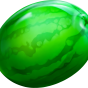 Watermelon slika