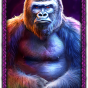 Gorilla slika