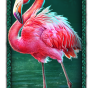 Flamingo slika