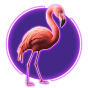Flamingo slika