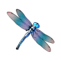Dragonfly slika