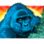 Gorilla slika