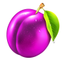 Plum slika