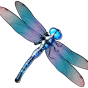 Dragonfly slika